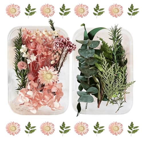 2PCS Dried Flowers Kit, Natural Dried Flowers Kit for DIY Crafts, Scrapbook, Card Making (Stye2_13) - color: Stye2_13