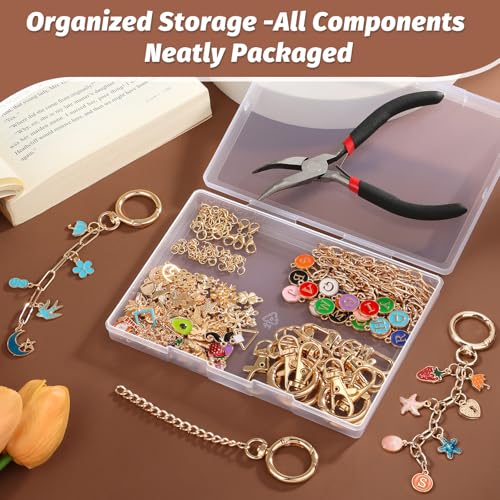 selizo 263Pcs Charms Lip Gloss Keychain Making Kit, DIY Craft Supplies with Charms, Key Chain Hooks, Jump Rings, Lobster Clasps, Chains & Tools, Jewelry Making Kit for Custom Keychains, Bags, Gifts - color: Gold-263Pcs Kit