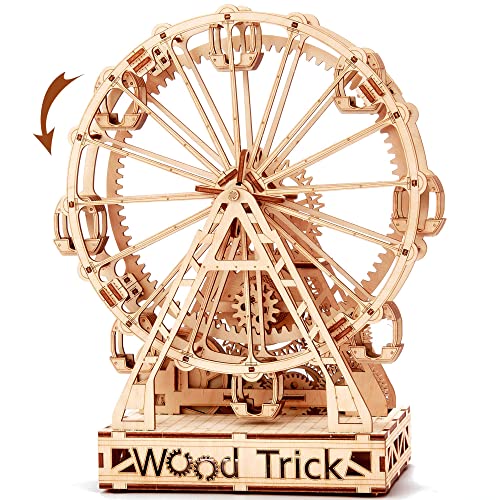 Wood Trick Ferris Wheel 3D Wooden Puzzles for Adults to Build