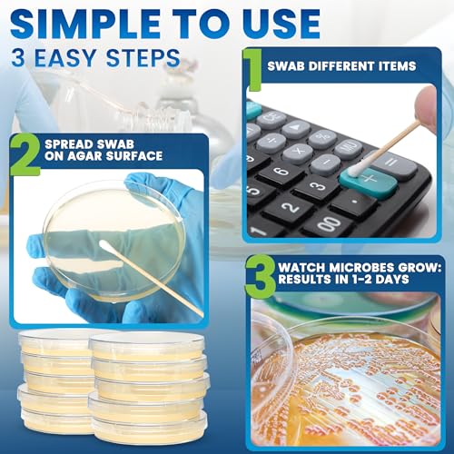 Evviva Sciences Microbiology Science Project Kit, Pre-Poured Agar Plates for Students, Agar Petri Dishes to Learn Microbiology, with Educational Experiment eBook (Pack of 2) - size: Medium (6 X 4 X 4in) (Pack of 2)