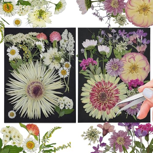 White Dried Pressed Flowers, 40Pcs Real Nature Flowers Set with Tweezers - size: 40 pcs White+Mixed Dried Flowers
