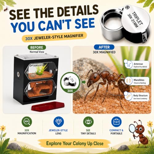 Terra Core S Dual View Ant Farm, Acrylic Formicarium Nest with Starter Kit, Double-Sided Observation Habitat with Moisture System for Ant Keepers, 3.93 x 2.36 x 4.52 in - size: Terra Core Series-DualView S