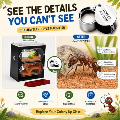Terra Core S Dual View Ant Farm, Acrylic Formicarium Nest with Starter Kit, Double-Sided Observation Habitat with Moisture System for Ant Keepers, 3.93 x 2.36 x 4.52 in - size: Terra Core Series-DualView S
