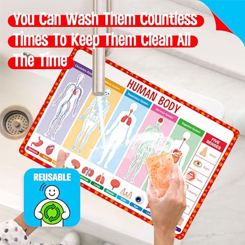 4 Pack Double-Sided Placemats, Washable & Reusable Table Mats -Math, Universe, Periodic Table, US President, Human Body, Map of USA & World Educational Placemats for Home, Kindergarten, Classroom - style: Popular Science-Double-Sided