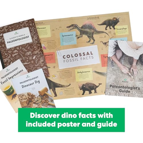 KiwiCo Dinosaur Fossil Dig Kit for Kids Age 6+ | Excavate & Build Dinosaur Skeleton, Make Fossil Impressions | STEM Paleontology Science Kit & Gift with Dinosaur Facts Poster (Pack of 2)