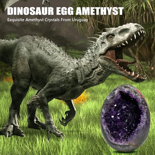 Amethyst Crystal Rock Qurartz Geode Cluster Natural Raw Amethyst Stone Real Healing Crystals 3-3.5LB - size: 3-3.5 Pound(4.5-5 Inch)
