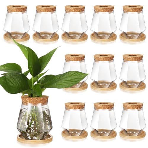 Baderke 12 Pack Propagation Vases for Plants, Cup Style - color: Transparent