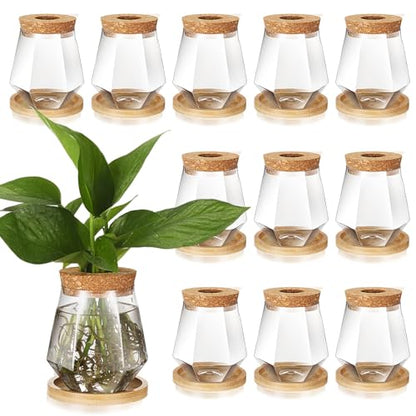 Baderke 12 Pack Propagation Vases for Plants, Cup Style - color: Transparent