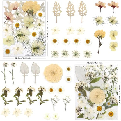LUXEEASE 80P White Pink Dried Pressed Flowers - color: White 80pcs