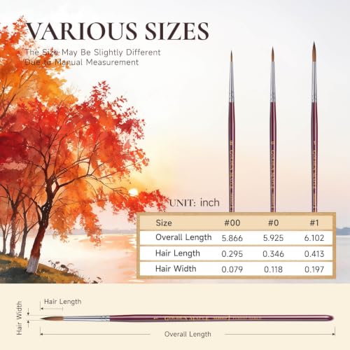 Golden Maple Kolinsky Sable Miniature Paint Brushes, Size 00, 0, 1 - size: 00 0 1 Round Point