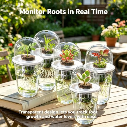 6 Pack Clear Hydroponic Nursery Pots with Humidity Dome for Seed Starting - color: Transparent-6 Pack