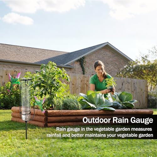 Rain Gauge Outdoor with Thermometer, Accurate & Easy to Read - color: Hummingbird
