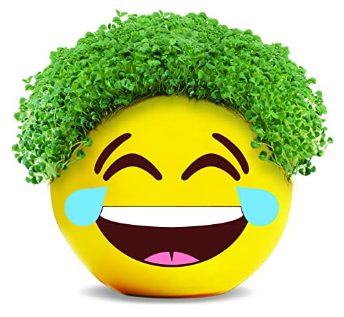 Chia Pet Tears of Joy Emoji Terracotta Planter with Seed Pack - color: Tears of Joy