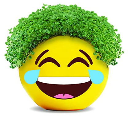 Chia Pet Tears of Joy Emoji Terracotta Planter with Seed Pack - color: Tears of Joy