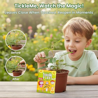 TickleMe Plant® Birthday Party Favors (2-Pack) – Touch It & Watch It Move! | Sensitive Plant Kids Grow Kit | Fun Interactive Indoor Gardening Gift for Kids, Classroom, STEM Activity - style: Birthday Party Favors