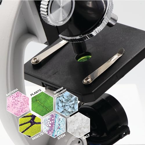 Discovery #MINDBLOWN Microscope Set 48-Piece with Durable Metal Framework, 100X to 1200X Magnification, Complete Set with Test Tubes, Tools, Slides and More