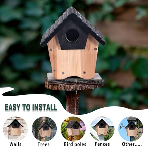 NATUREYLWL DIY Wooden Birdhouse Kit with Side Access