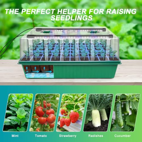 GOOINMILL Self-Watering Seed Starter Tray with Timed Grow Light, 60 Cells Plant Starter Tray Seedling Starter Kit with Humidity Domes Base Indoor Mini Greenhouse Plant Germination Trays - size: 60 Cells-1 PCS