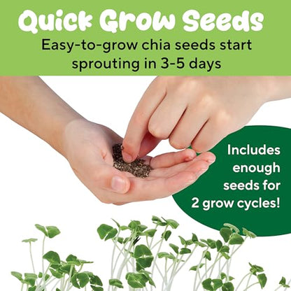 Creativity for Kids Plant-a-Pet Barnyard Pig Kit | Decorate, Plant & Grow Your Own Pet | Chia Seed Gardening Craft | Spring Crafts & Screen-Free Kids Activity (Ages 6+) - style: Pig