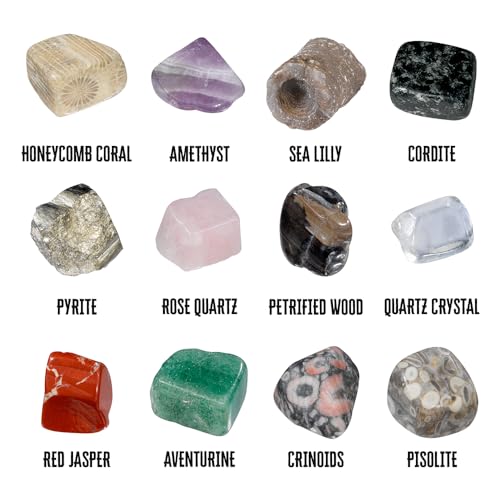 Thames & Kosmos I Dig It! Rocks & Fossils Excavation Gift Set | 18 Dig-Out Kits in Individual Gift Boxes, Great for Party Favors, Stocking Stuffers, Easter Baskets, Ages 5+