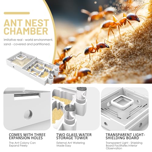 Ant Nest Farm for Live Ants and Queen - Ant Colony Observation Ant Farms with Yellow Sand Transparent Ant Farm for Adults 3D Printed Nest Ant Workshop Castle Ant Garden Queen (Kit-C) - style: WT2-C