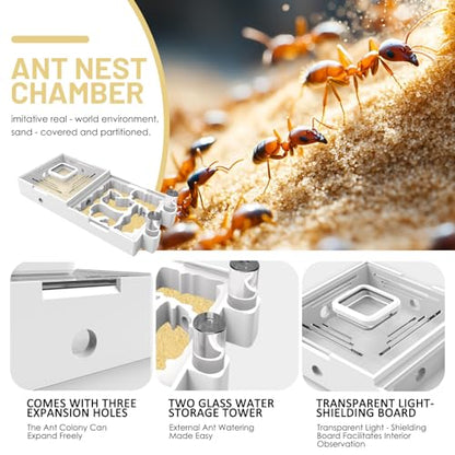 Ant Nest Farm for Live Ants and Queen - Ant Colony Observation Ant Farms with Yellow Sand Transparent Ant Farm for Adults 3D Printed Nest Ant Workshop Castle Ant Garden Queen (Kit-C) - style: WT2-C