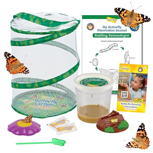 Insect Lore Butterfly Garden with 5 Live Baby Caterpillars - STEM Activity Journal, Habitat, Chrys-A-Lid Holder and Feeder Included | Raise and Release Painted Lady Butterflies - style: Live Butterfly Garden