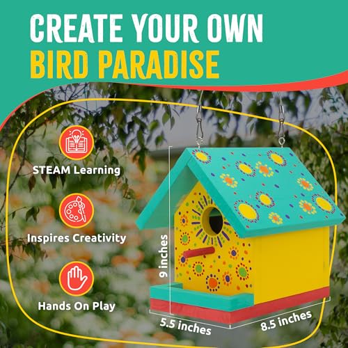 Jr Bird House Kit, DIY Cedar Wood Birdhouse for Outdoors with Paint