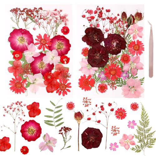 Dried Pressed Flowers Real Pressed Flowers Natural Dry Leaves Bulk Mixed Colorful Herbs Kit with Tweezers for Scrapbooking DIY Candle Jewelry Crafts Making Nails (Red) - color: Red