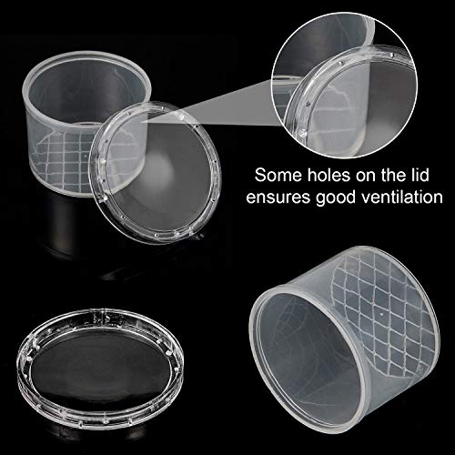 Thyle 60 Pieces Bug Viewer Bug Cage Catcher Magnifying Insect Box Bug Magnifier Container Bug Catcher Cage Nature Jar Bulk for Science Class Exploration Backyard Tools Outdoor