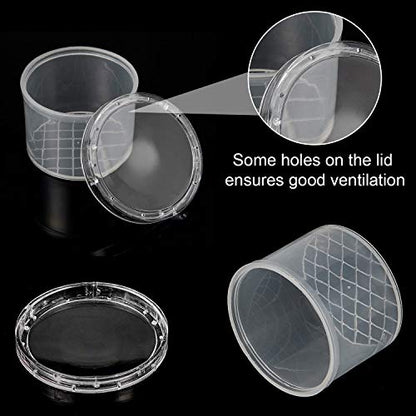 Thyle 60 Pieces Bug Viewer Bug Cage Catcher Magnifying Insect Box Bug Magnifier Container Bug Catcher Cage Nature Jar Bulk for Science Class Exploration Backyard Tools Outdoor