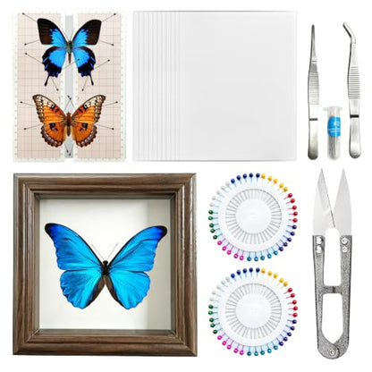 18Pcs Insect Pinning Kit, Beginner Entomology Kit with Tracing Paper, Tweezers, Scissors, Picture Frame, Insect Pins, Butterfly Pins and Foam Pinning Board.