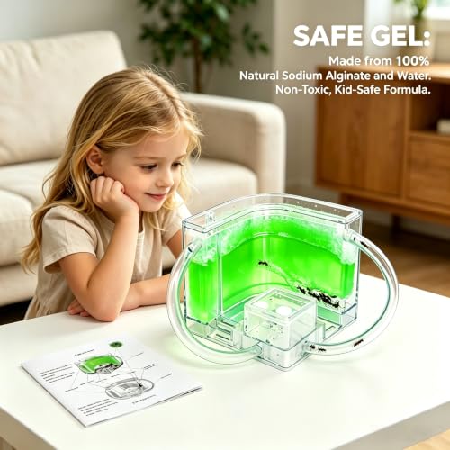 EXBEPE Ant Farm for Kids Safety and Environment Gel Ant Colony Ecosystem Terrarium, Ant Habitat Science Learning Kit(with No Ant)… - color: Green