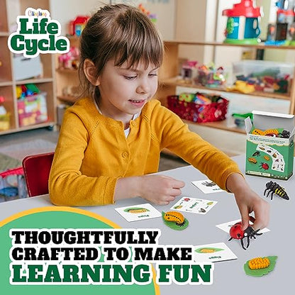 Life Cycle Kit Montessori - Realistic Figurine Toys, Kids Animal Matching Game with Ladybug, Easter Basket Stuffers for Kids, Science Fun for Learning Education Toys - style: Life Cycle - Ladybug