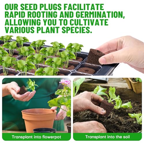 50 Pcs Seed Starter Plugs,Replacement Root Grow Sponges Plant Plugs,Great for Soil, Tray or Planting Pods, Promotes Herbs, Vegetables and Flowers Growth
