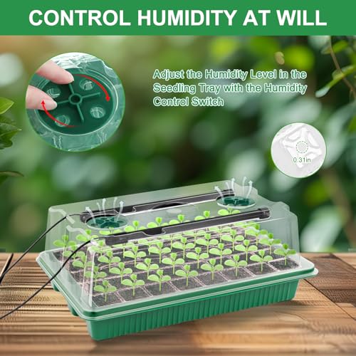 Seed Starter Tray with Timed Grow Light, 2 Pack 80 Cells Plant Starter Tray Seedling Starter Kit with Humidity Domes Base Indoor Mini Greenhouse Plant Germination Trays for Seeds Growing Starting - size: 40 Cells-2 PCS