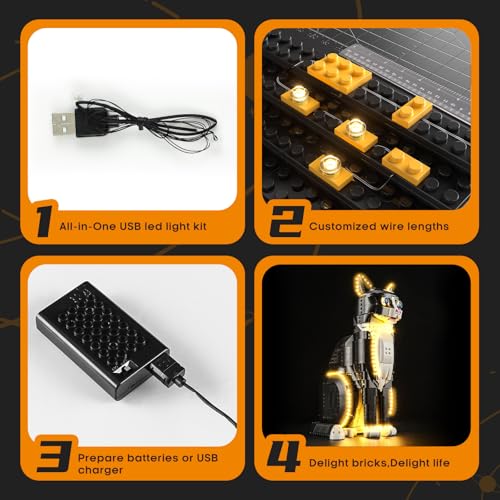 LIGHTAILING Light for Lego-21349 Tuxedo Cat - Led Lighting Kit Compatible with Lego Building Blocks Model - NOT Included The Model Set - style: (Only Light) 21349 Tuxedo Cat