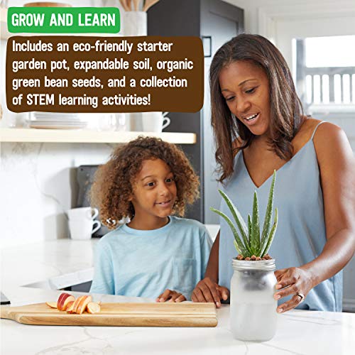 Back to the Roots Self Watering Grow Kit - Glass Hydroponic Planters for Succulents and Cacti Self-Watering System - size: 1 Count (Pack of 1), style: Self-Watering Succulent Kit