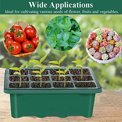 Seed Starter Tray Seedling Kits with Grow Light, 3-Pack Plant Germination Set with Adjustable Humidity Dome and Base Greenhouse Grow Trays for Seeds Growing Starting (12 Cells per Tray)