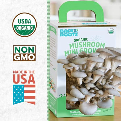 Back to the Roots Organic Mini Mushroom Grow Kit, Harvest Gourmet Oyster Mushrooms In 10 days, Top Gardening Gift, Holiday Gift, & Unique Gift - color: Mini