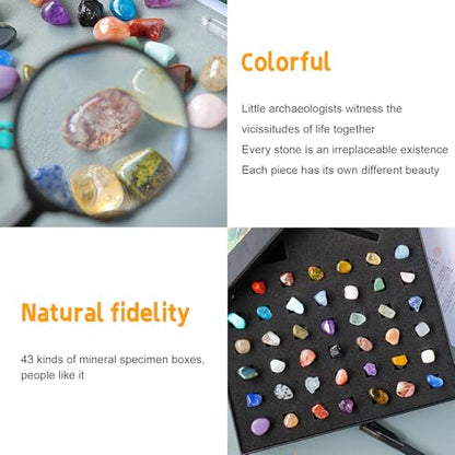 43 Pieces Rock Kit for Geology Enthusiasts | Rock Collection with Mineral Testing Tools, Crystal Geode Display & Volcanic Samples | Beginner to Advanced Specimen Study