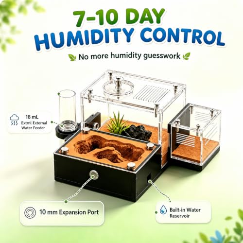 Terra Core S-Ant Farm Formicarium for Live Ants & Queen, Expandable Ant Nest with Magnetic Trash Chamber, 18 mL Water Feeder, Dual Humidity System, Red Cover & Starter Kit