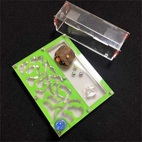 ANT 150mmx110mm Test Tube Moisture Big Space Nest Farm Acrylic, Insect Villa House Ecological Workshop (Green) - color: green