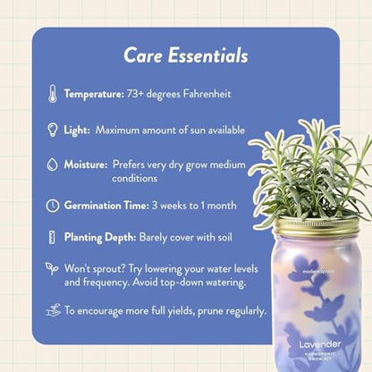 Modern Sprout Mason Garden Jar - Self-Watering Hydroponics Kit - Lavender - color: Lavender, size: Garden Jars