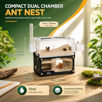 Strata Series - DualView M Ant Nest with Starter kit - size: DualView M