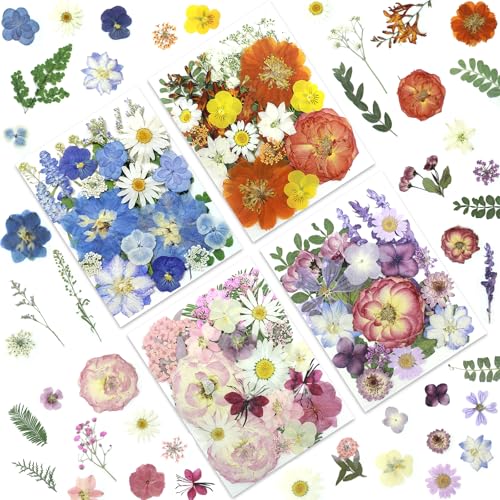 LUXEEASE 4-Color 100P Vibrant Dried Pressed Flowers - color: Blue/Orange/Pink/Purple 100p