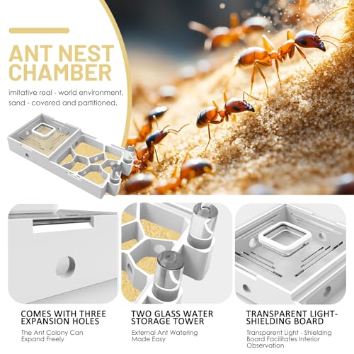 Nest Farm for Live Ants and Queen - Ant Farms with Yellow Sand Observation Transparent Ant Farm for Adults 3D Printed Nest Ant Workshop Castle Ant Garden Queen (Kit-A) - style: Model-A