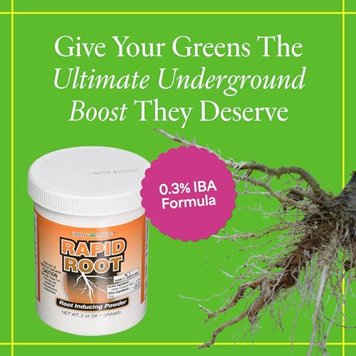 Grow More Rapid Root Powder for Plants (0.3% IBA) - 2oz of Rooting Hormone for Cuttings to Stimulate & Enhance Root Growth - One-Dip Treatment Rooting Powder for Plant Cuttings - Rapid Rooter