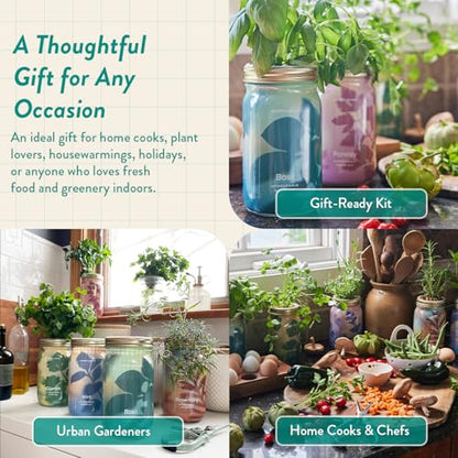 Modern Sprout Mason Garden Jar - Self-Watering Hydroponics Kit - Basil - color: Basil, size: Garden Jars