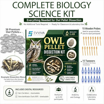 ES EVVIVA SCIENCES Owl Pellet Kit - Dissect 30 Mostly Small Real Owl Pellets w/Tools & PDF Bone Charts - Science Education Kit for Ages 15+ - Hands-On Animal Biology Science Lab Activity